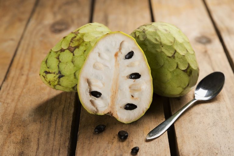 ANONA OU CHERIMOIA CORTADA AMO MEIO