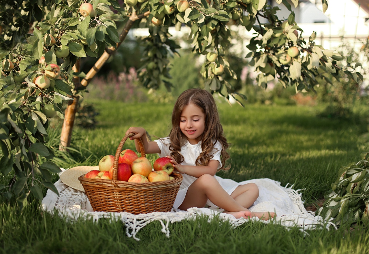 MAÇÃ A-ALIMENTAÇÃO SAUDAVEL